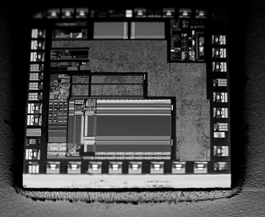 An entire chip seen through the SEM during the process of imagery